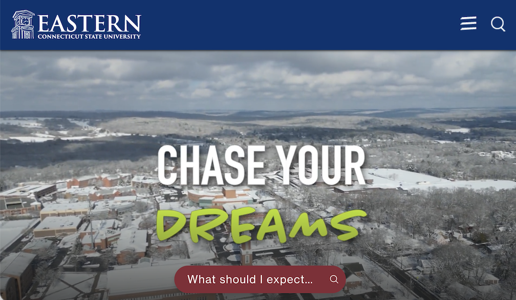 Screen Shot of ECSU College website